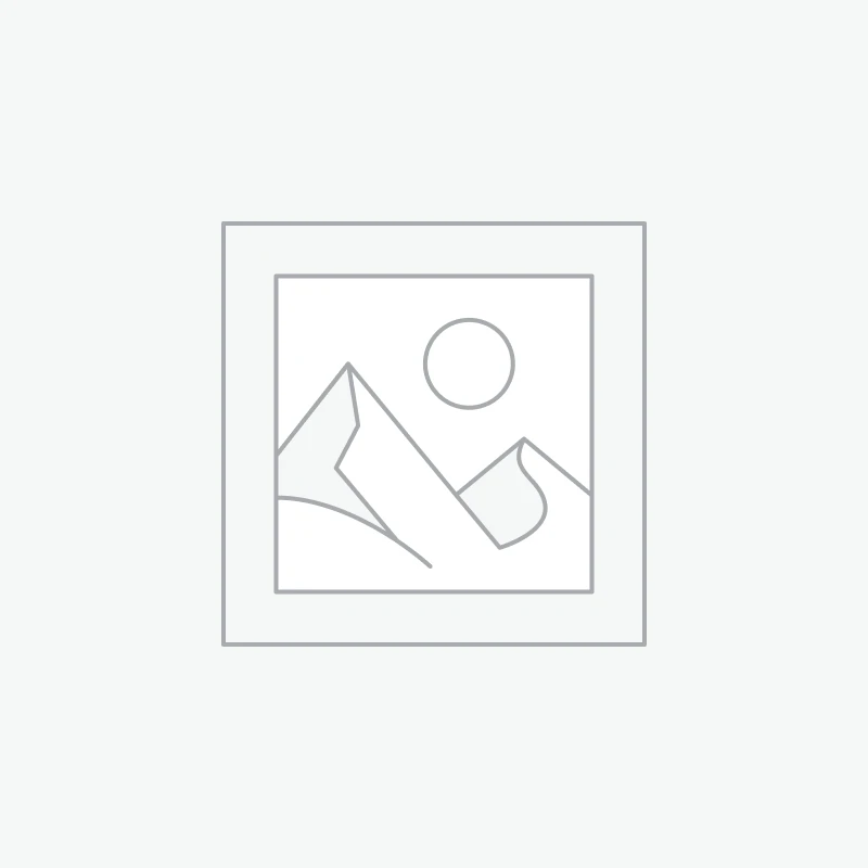 Tênis Nike Dunk Teddy Bear Camurça Azul Feminino Premium