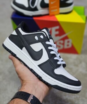 Tenis Nike SB Dunk Grade Fechada 5
