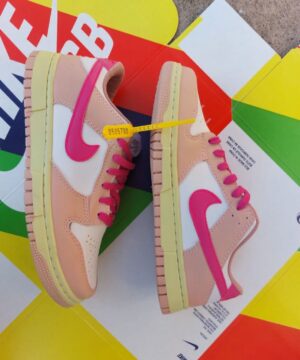Tenis Nike SB Dunk Grade Fechada 7