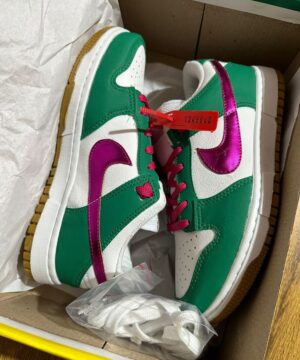 Tenis Nike Dunk Low Pro Premium Feminino 1