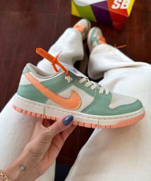 Tenis Nike Dunk SB Premium Feminino 1 2