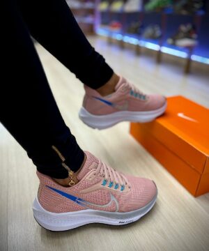 Tenis Nike Pegasus 39 Premium Grade Fechada 14