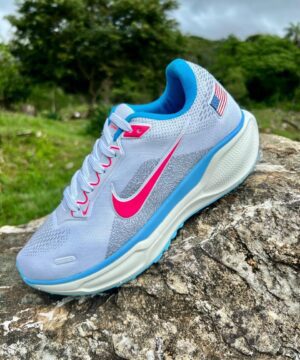 Nike pegasus 41 3