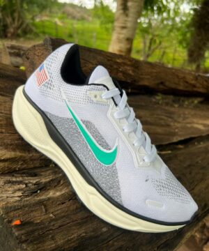 Nike pegasus 41 6